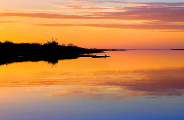 Evening in the Wetlands