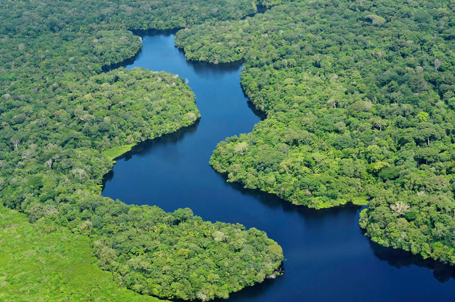 The Amazon in Brazil