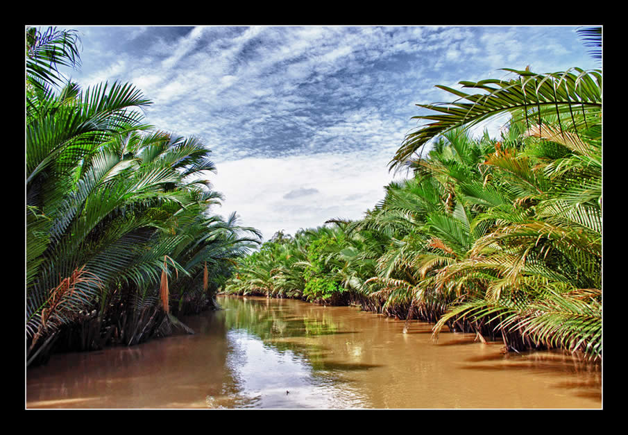 The Mekong River in Vietnam
