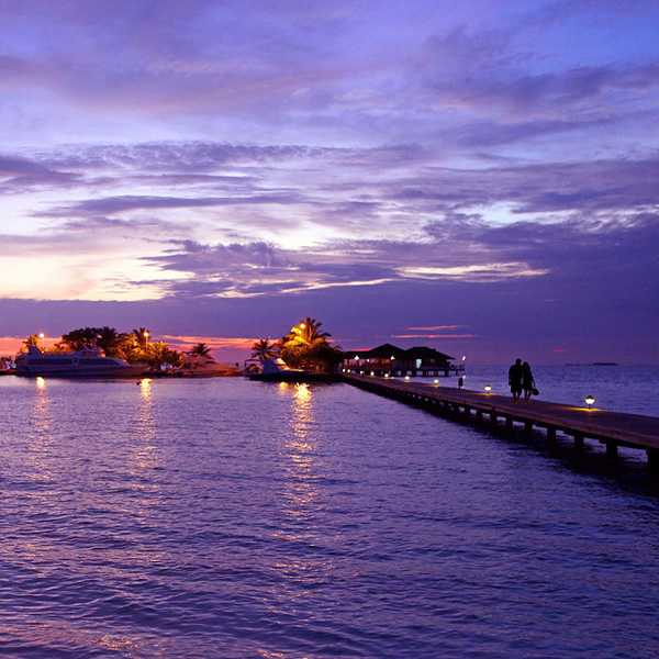 Purple Romantic Evening