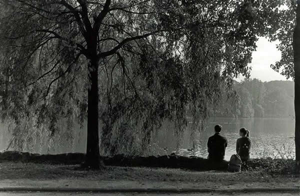 Under the Leaves