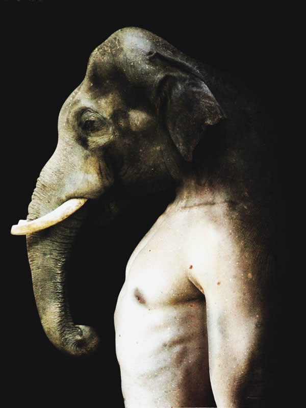 Elephant Man