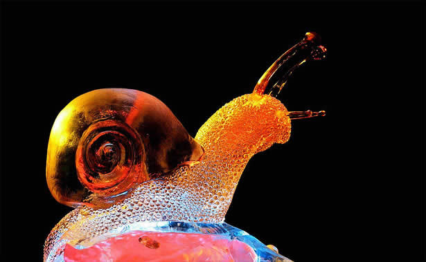 Ice Snail