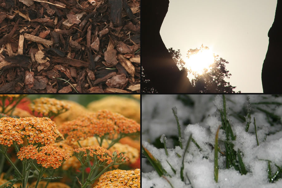 Photo Collage of Seasons