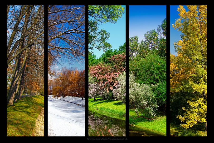The Five Seasons