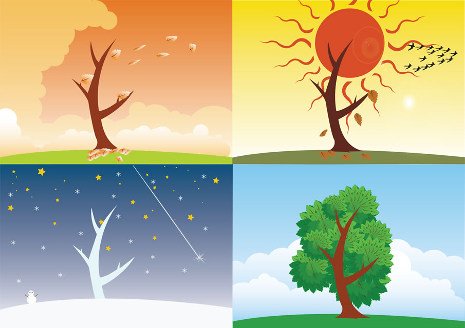 4 Vector Seasons