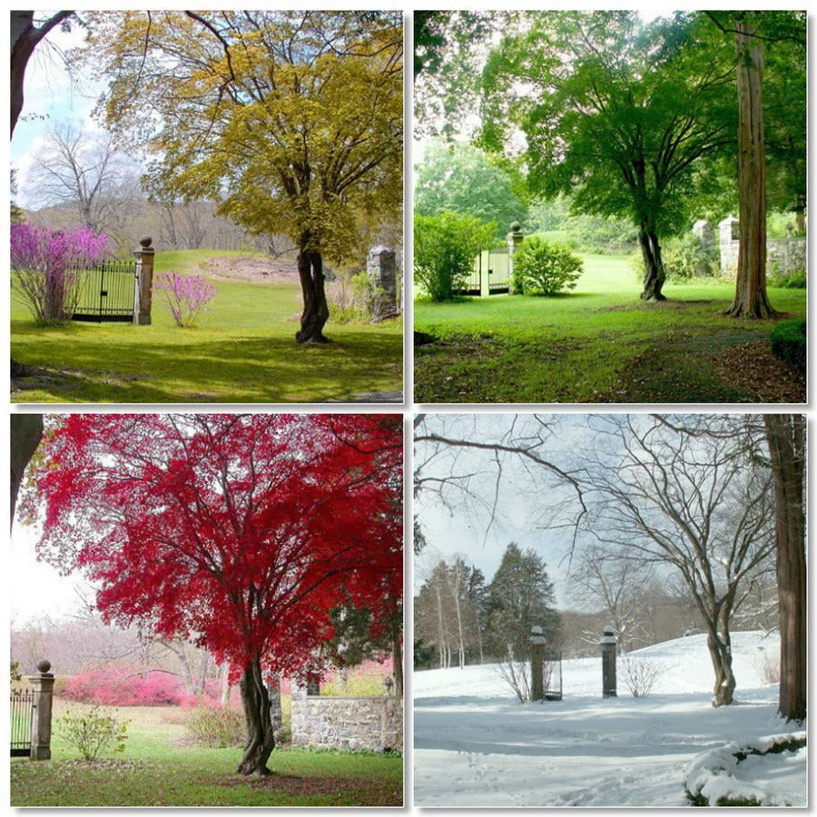 Four Seasons