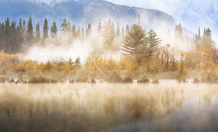 Morning Mist