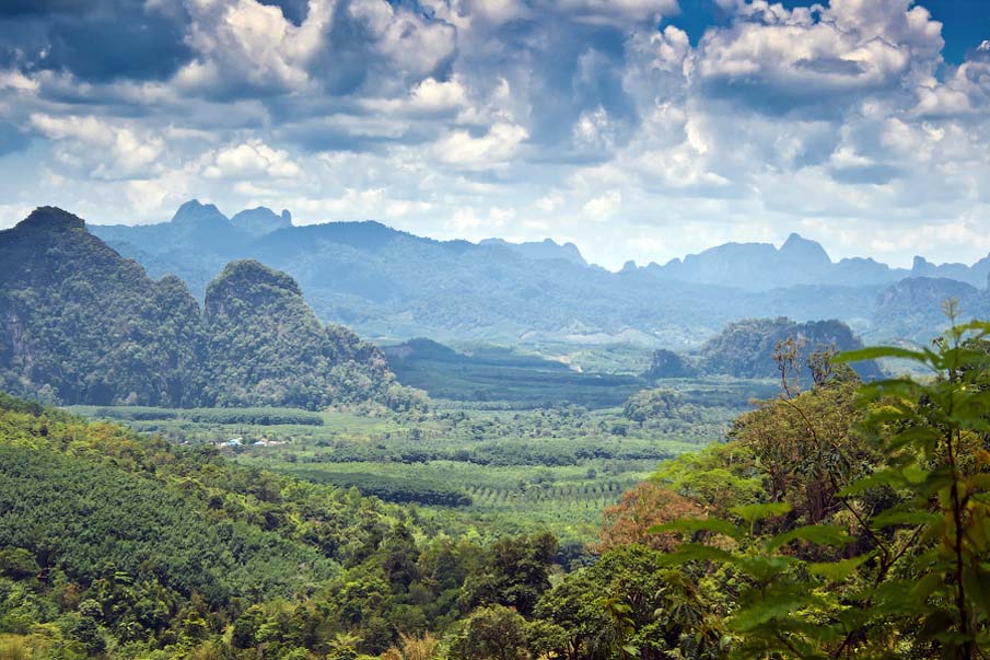 Colors of Thai Nature