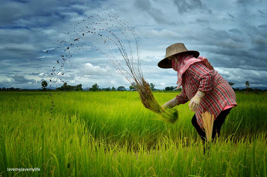 North of Thailand