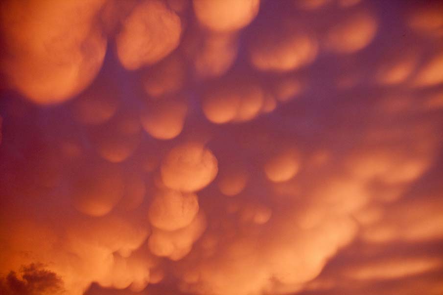 Clouds Like Cotton Balls Mammatus cloud