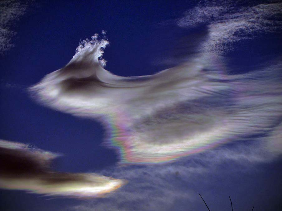 Nacreous Cloud Evolves into a Wave