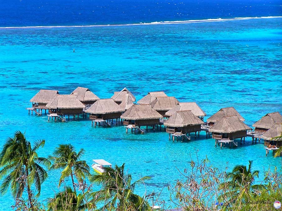 Pearl Resort, Moorea, Tahiti