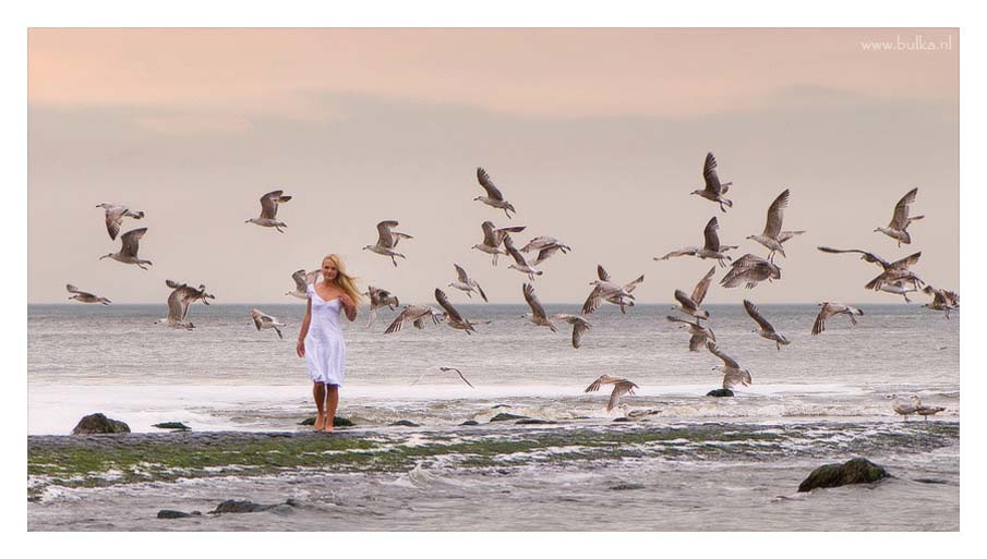Girl and Seagulls