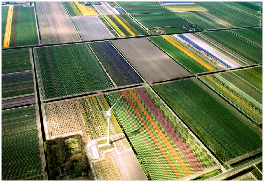 Holland in Birds-Eye View