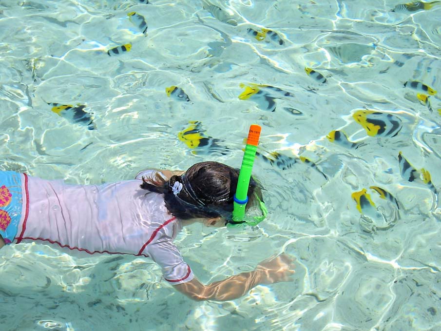 Snorkling Lagon Tahiti