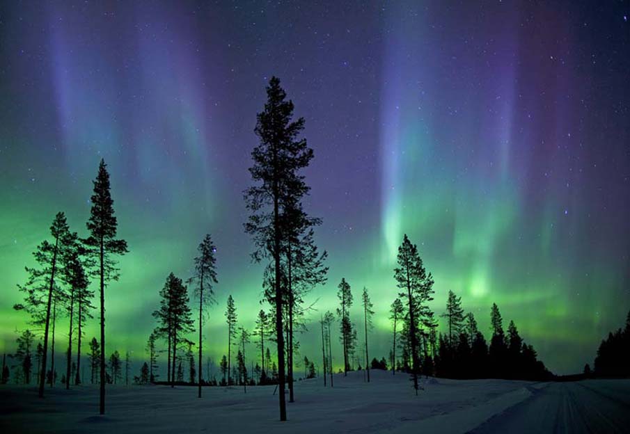 Kiruna Aurora