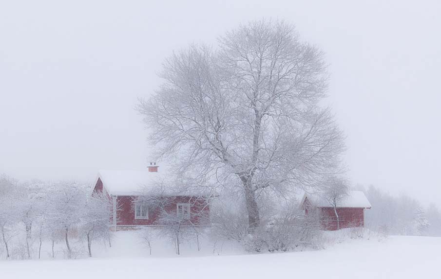 Winter Idyll