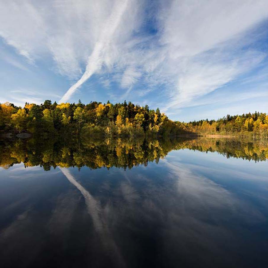 Swedish Autumn