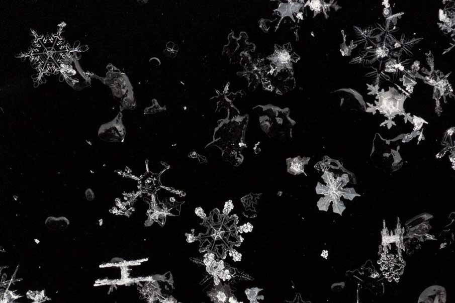 Flakes