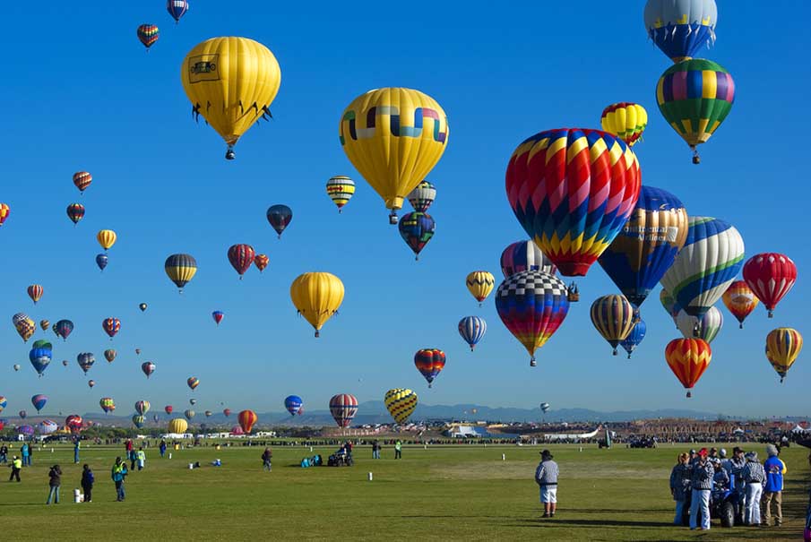 Zebras Watching the Balloons