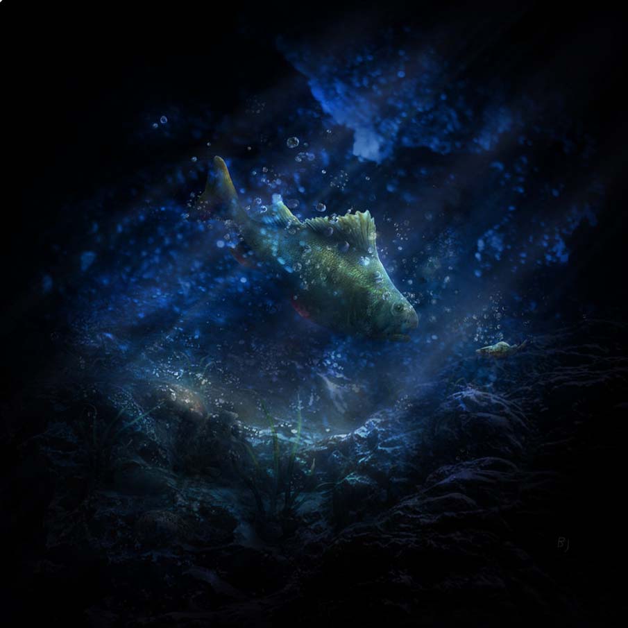 Underwater Fish