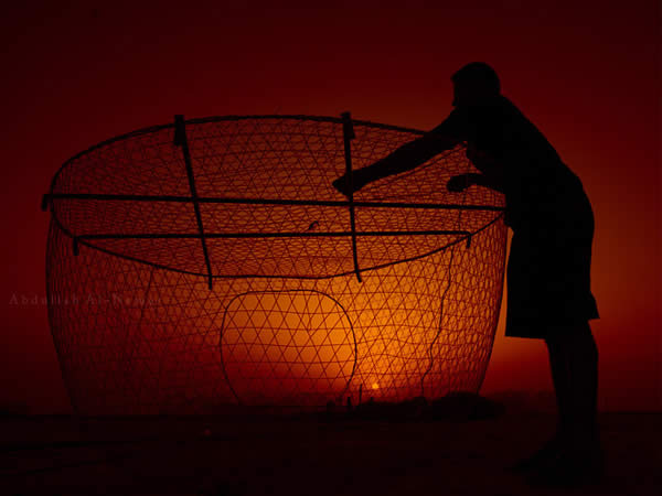 Silhouette at the Sunset