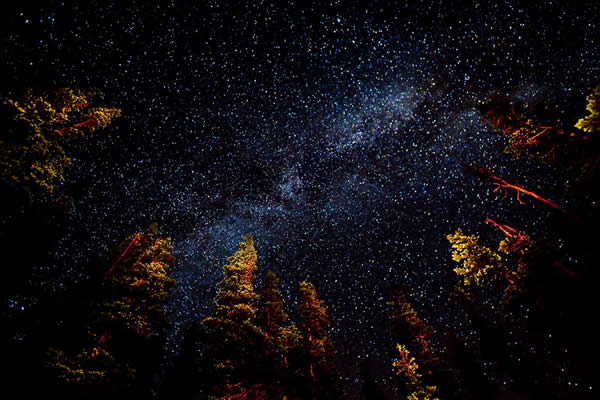 Night Sky - Olympic National Park