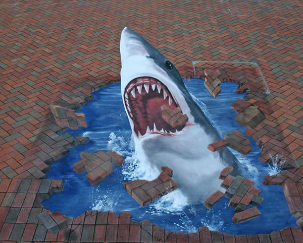 The Shark Illusion