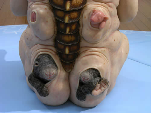 patricia piccinini the young family essay The website of contemporary visual artist patricia piccinini (transgenic skull for the young family), 2008 piccinini, patricia, we are family lecture. patricia piccinini the young family essay The website of contemporary visual artist patricia piccinini (transgenic skull for the young family), 2008 piccinini, patricia, we are family lecture.