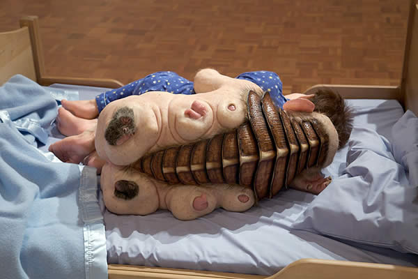 Onverdeelde (terug), 2004