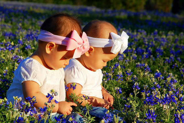 Twins in the Bluebonnets