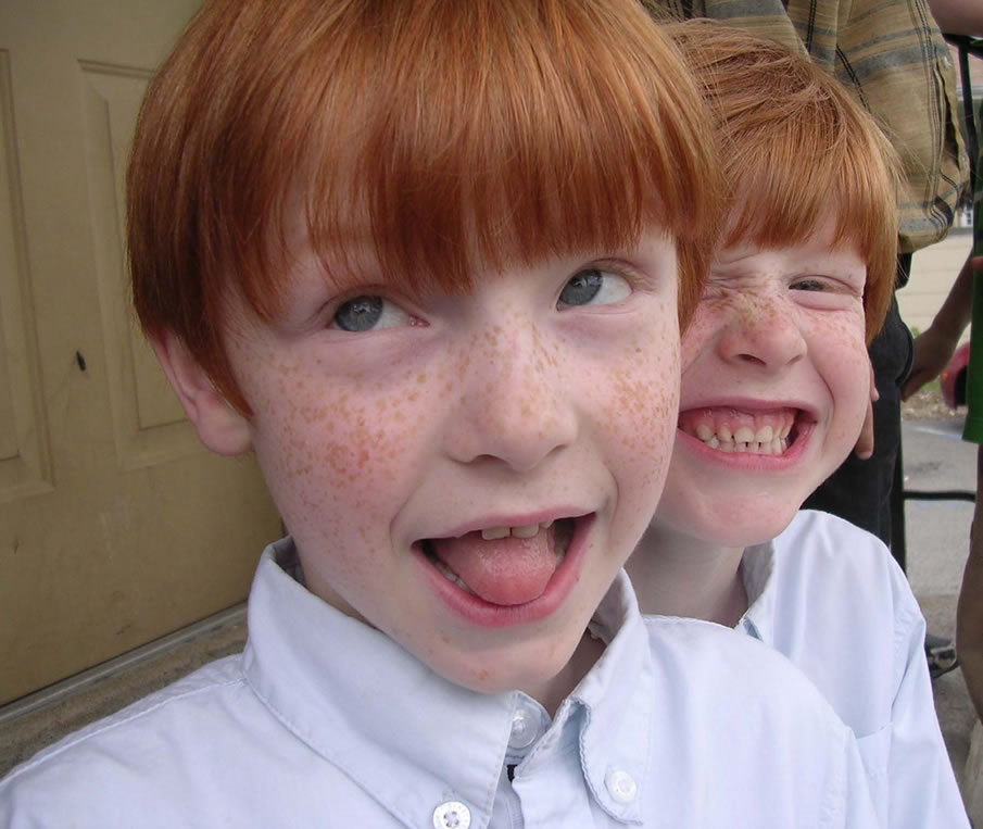 Ginger Twins