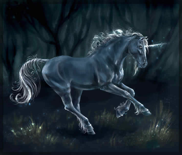Wonder Forest Unicorn