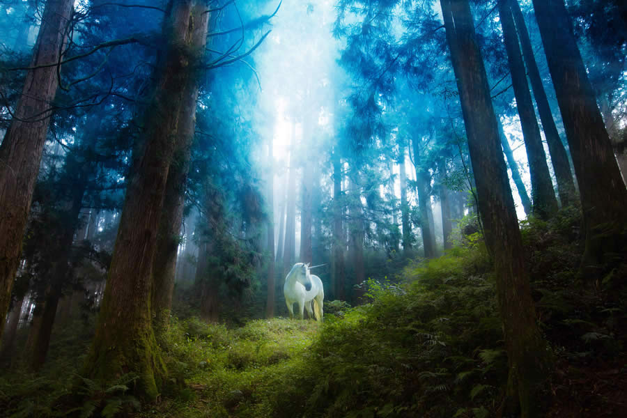 Deep Forest Unicorn