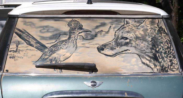 Roadrunner & Coyote