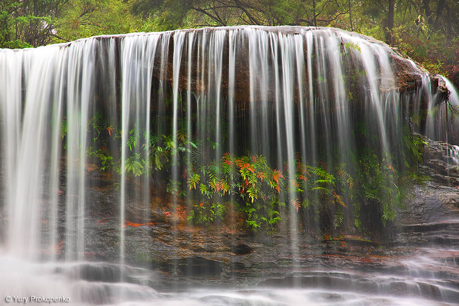 Weeping Rock Waterfall, Blue Mountains