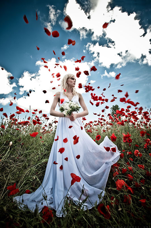 Bride and Poppies