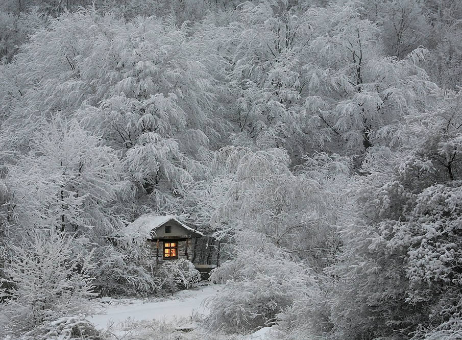 Winter Fairytale