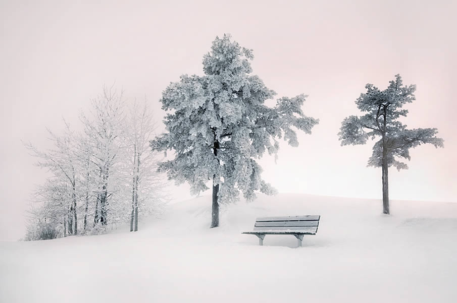 Winter Silence