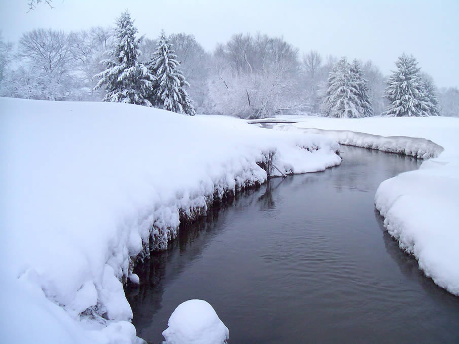 Heavy Snow By River