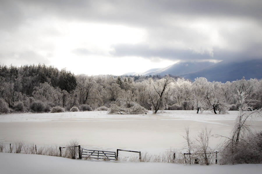 Ice Storm