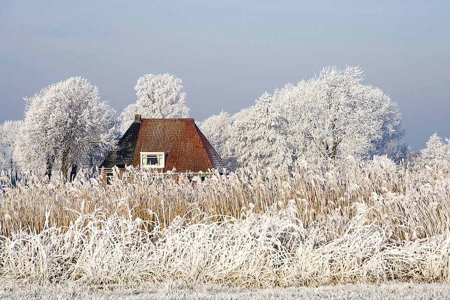 Farmhouse in the Snow