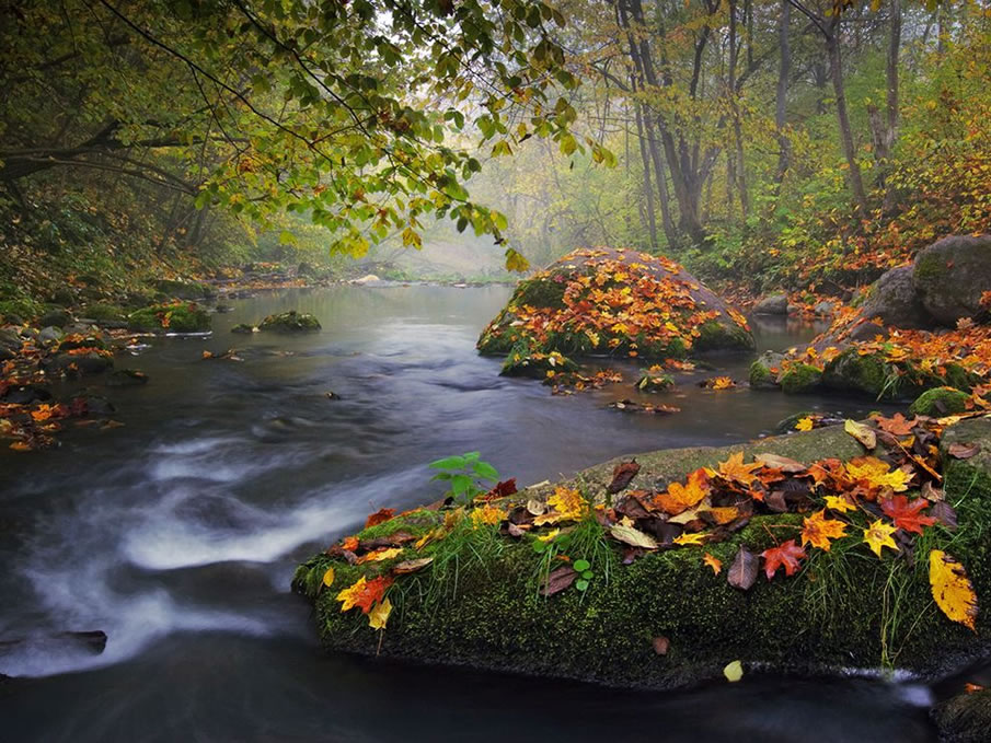 Autumn Landscape