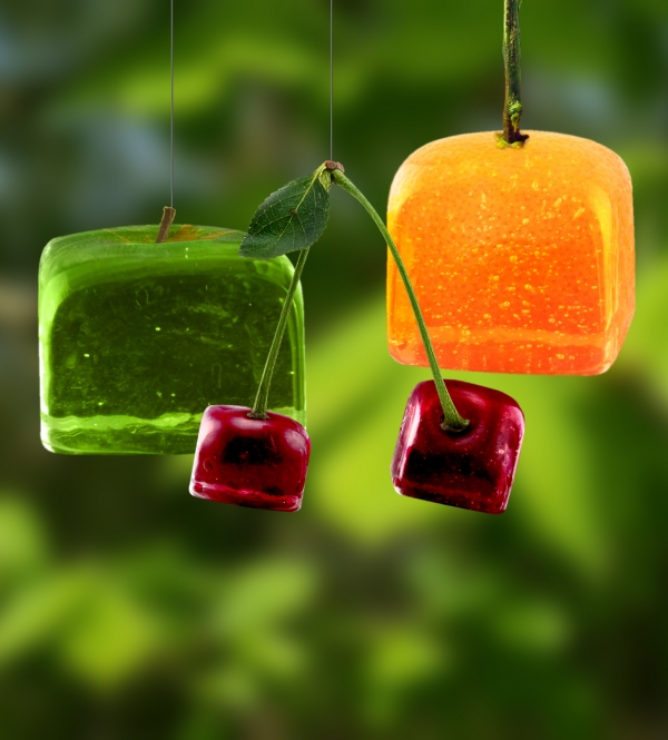 Creation of Cubed Fruit: Final Result