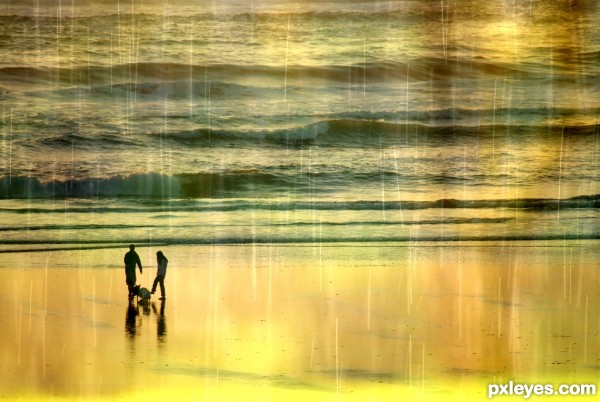 A Walk on the Beach