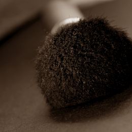 Brush