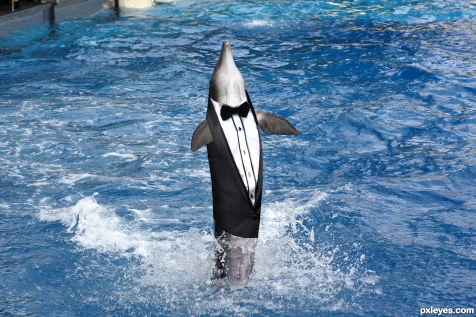 Tux Phin