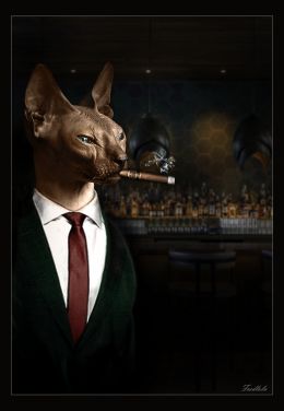 sphynx bartender