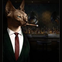 sphynxbartender